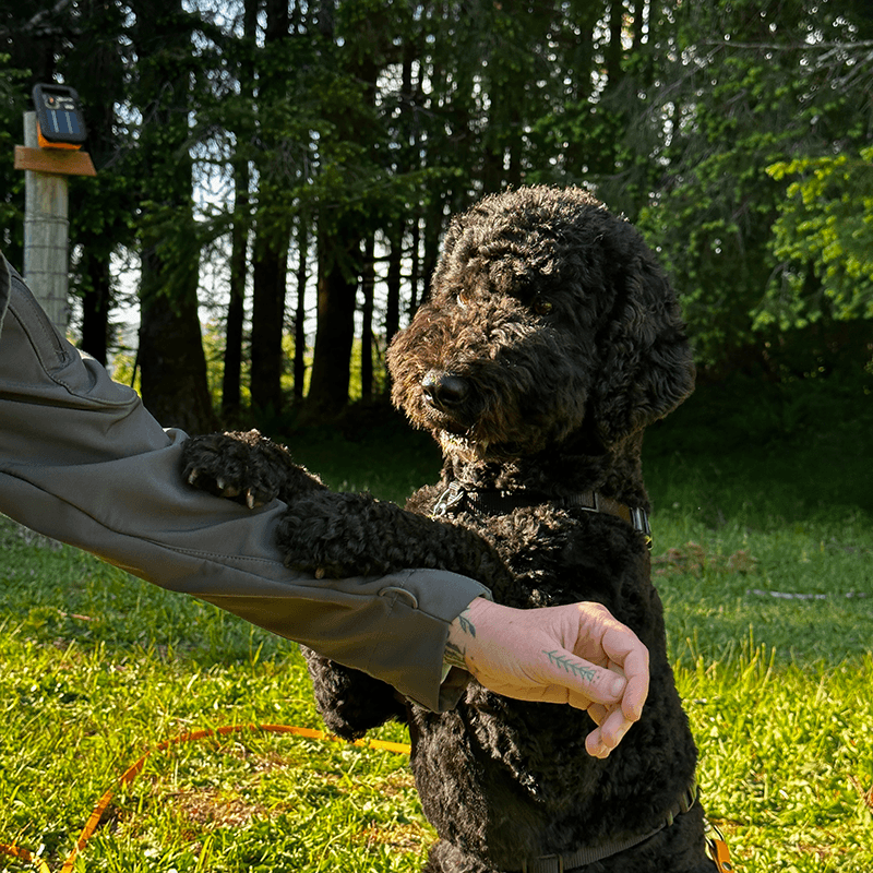 Cinder