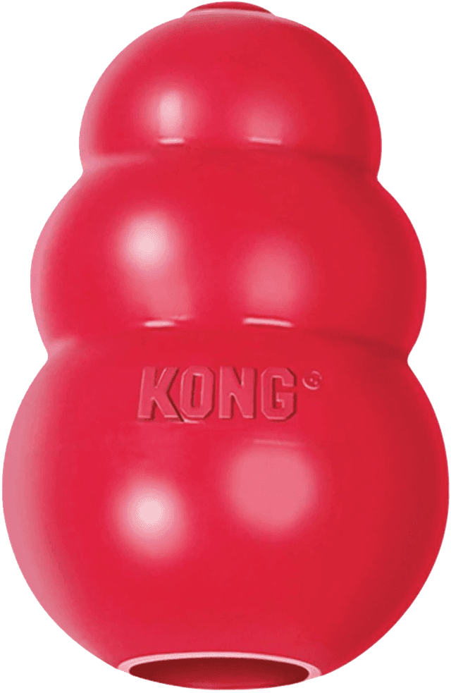 Kong Classic